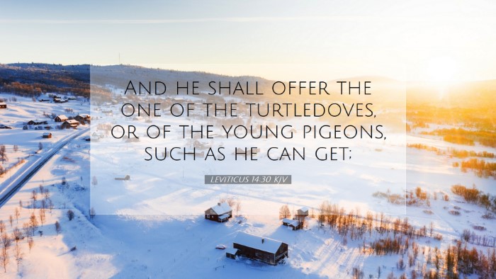 Picture 07 - Leviticus 14:30 KJV Desktop Wallpaper - And he shall offer the one of the turtledoves, or - Desktop Bible Verse Wallpaper