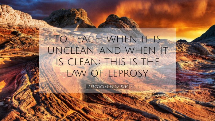 Picture 07 - Leviticus 14:57 KJV Desktop Wallpaper - To teach when it is unclean, and when it is - Desktop Bible Verse Wallpaper