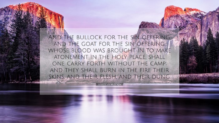 Picture 07 - Leviticus 16:27 KJV Desktop Wallpaper - And the bullock for the sin offering, and the - Desktop Bible Verse Wallpaper