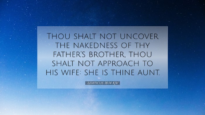 Picture 07 - Leviticus 18:14 KJV Desktop Wallpaper - Thou shalt not uncover the nakedness of thy - Desktop Bible Verse Wallpaper