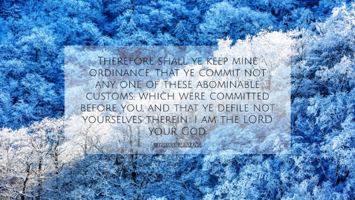 Picture 07 - Leviticus 18:30 KJV Desktop Wallpaper - Therefore shall ye keep mine ordinance, that ye - Desktop Bible Verse Wallpaper