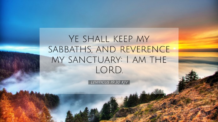 Picture 07 - Leviticus 19:30 KJV Desktop Wallpaper - Ye shall keep my sabbaths, and reverence my - Desktop Bible Verse Wallpaper