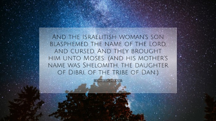 Picture 07 - Leviticus 24:11 KJV Desktop Wallpaper - And the Israelitish woman's son blasphemed the - Desktop Bible Verse Wallpaper
