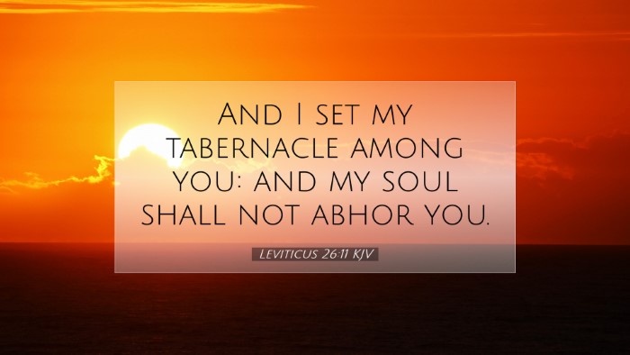 Picture 07 - Leviticus 26:11 KJV Desktop Wallpaper - And I set my tabernacle among you: and my soul - Desktop Bible Verse Wallpaper