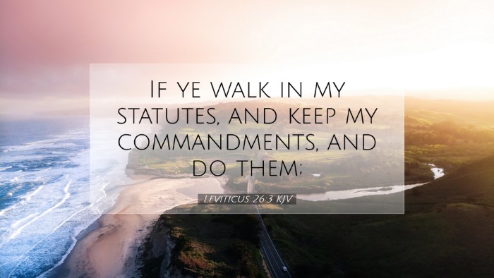 Picture 07 - Leviticus 26:3 KJV Desktop Wallpaper - If ye walk in my statutes, and keep my - Desktop Bible Verse Wallpaper