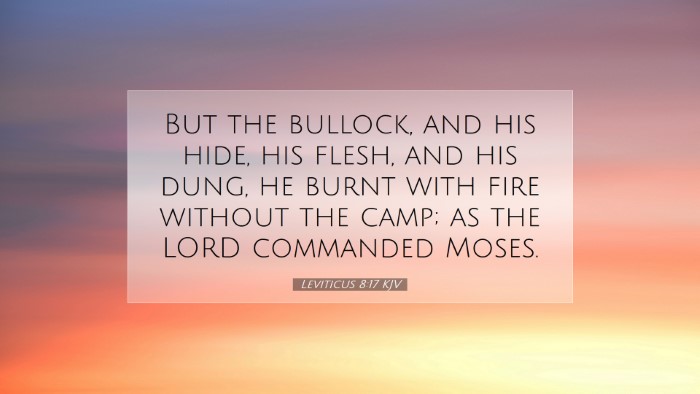 Picture 07 - Leviticus 8:17 KJV Desktop Wallpaper - But the bullock, and his hide, his flesh, and his - Desktop Bible Verse Wallpaper