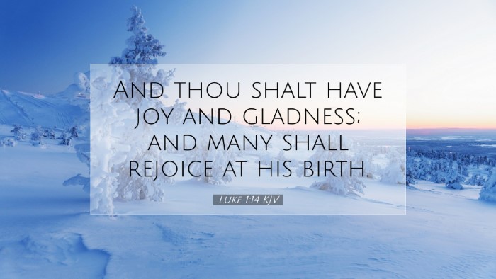 Picture 07 - Luke 1:14 KJV Desktop Wallpaper - And thou shalt have joy and gladness; and many - Desktop Bible Verse Wallpaper