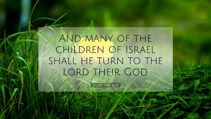 Picture 07 - Luke 1:16 KJV Desktop Wallpaper - And many of the children of Israel shall he turn - Desktop Bible Verse Wallpaper
