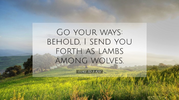 Picture 07 - Luke 10:3 KJV Desktop Wallpaper - Go your ways: behold, I send you forth as lambs - Desktop Bible Verse Wallpaper
