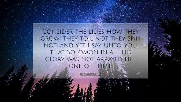 Picture 07 - Luke 12:27 KJV Desktop Wallpaper - Consider the lilies how they grow: they toil not, - Desktop Bible Verse Wallpaper