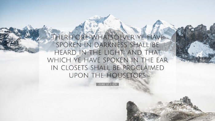 Picture 07 - Luke 12:3 KJV Desktop Wallpaper - Therefore whatsoever ye have spoken in darkness - Desktop Bible Verse Wallpaper