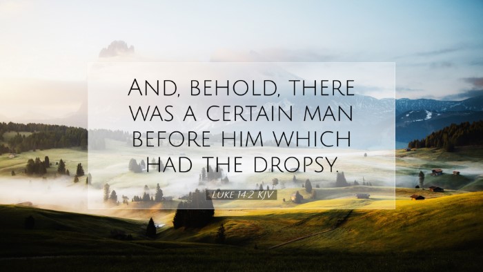 Picture 07 - Luke 14:2 KJV Desktop Wallpaper - And, behold, there was a certain man before him - Desktop Bible Verse Wallpaper