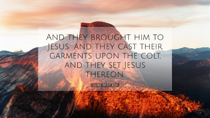 Picture 07 - Luke 19:35 KJV Desktop Wallpaper - And they brought him to Jesus: and they cast - Desktop Bible Verse Wallpaper