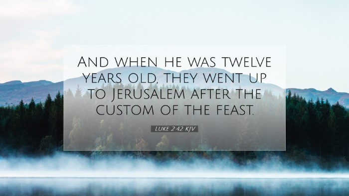 Picture 07 - Luke 2:42 KJV Desktop Wallpaper - And when he was twelve years old, they went up to - Desktop Bible Verse Wallpaper