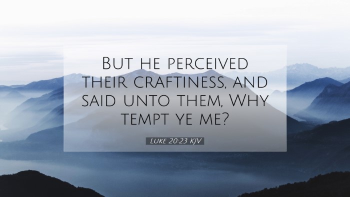 Picture 07 - Luke 20:23 KJV Desktop Wallpaper - But he perceived their craftiness, and said unto - Desktop Bible Verse Wallpaper
