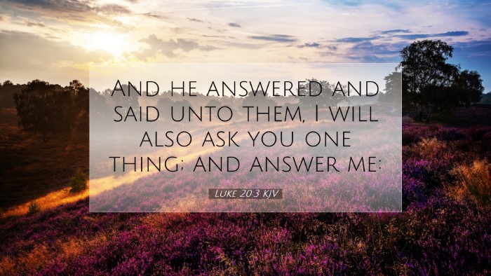 Picture 07 - Luke 20:3 KJV Desktop Wallpaper - And he answered and said unto them, I will also - Desktop Bible Verse Wallpaper