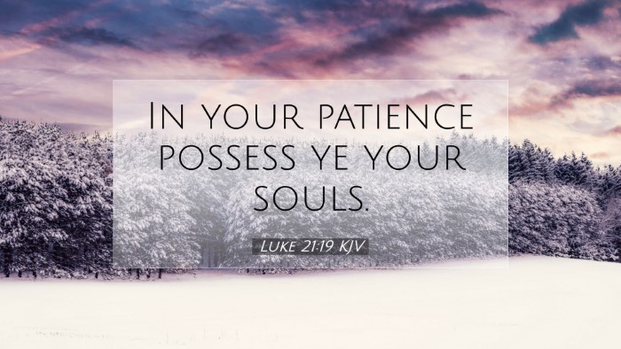 Picture 07 - Luke 21:19 KJV Desktop Wallpaper - In your patience possess ye your - Desktop Bible Verse Wallpaper