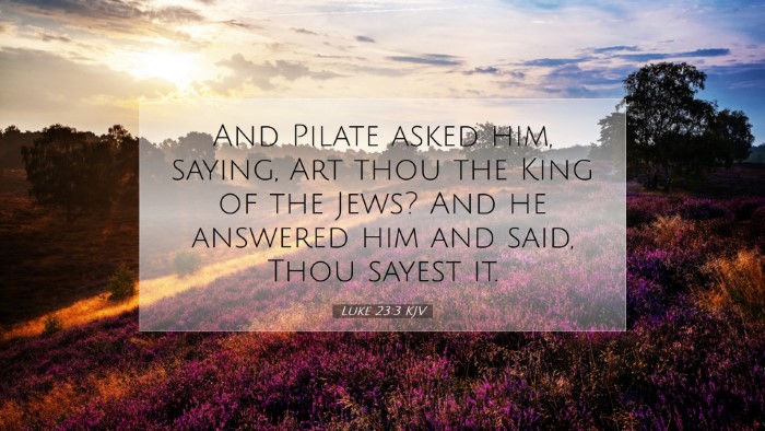 Picture 07 - Luke 23:3 KJV Desktop Wallpaper - And Pilate asked him, saying, Art thou the King - Desktop Bible Verse Wallpaper