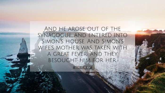 Picture 07 - Luke 4:38 KJV Desktop Wallpaper - And he arose out of the synagogue, and entered - Desktop Bible Verse Wallpaper