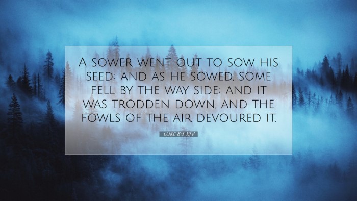 Picture 07 - Luke 8:5 KJV Desktop Wallpaper - A sower went out to sow his seed: and as he - Desktop Bible Verse Wallpaper