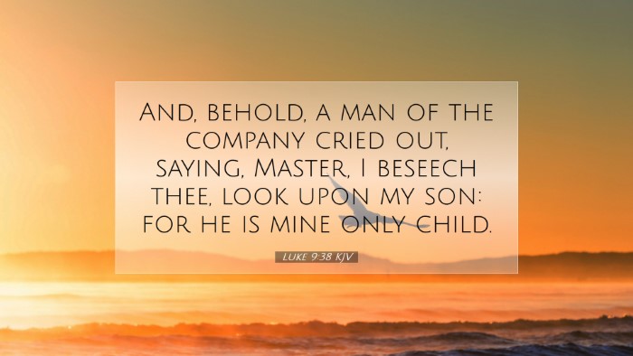Picture 07 - Luke 9:38 KJV Desktop Wallpaper - And, behold, a man of the company cried out, - Desktop Bible Verse Wallpaper
