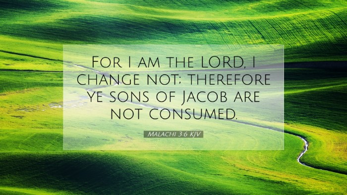 Picture 07 - Malachi 3:6 KJV Desktop Wallpaper - For I am the LORD, I change not; therefore ye - Desktop Bible Verse Wallpaper