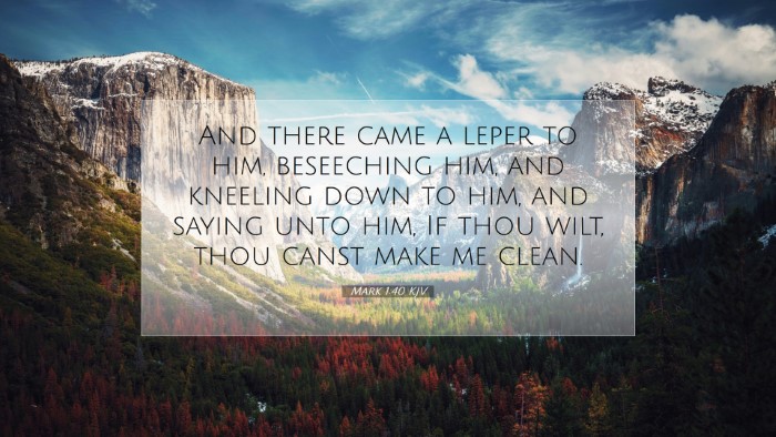 Picture 07 - Mark 1:40 KJV Desktop Wallpaper - And there came a leper to him, beseeching him, - Desktop Bible Verse Wallpaper