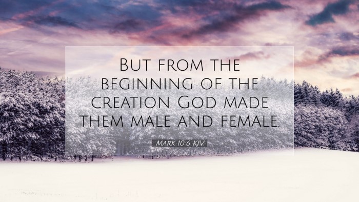 Picture 07 - Mark 10:6 KJV Desktop Wallpaper - But from the beginning of the creation God made - Desktop Bible Verse Wallpaper