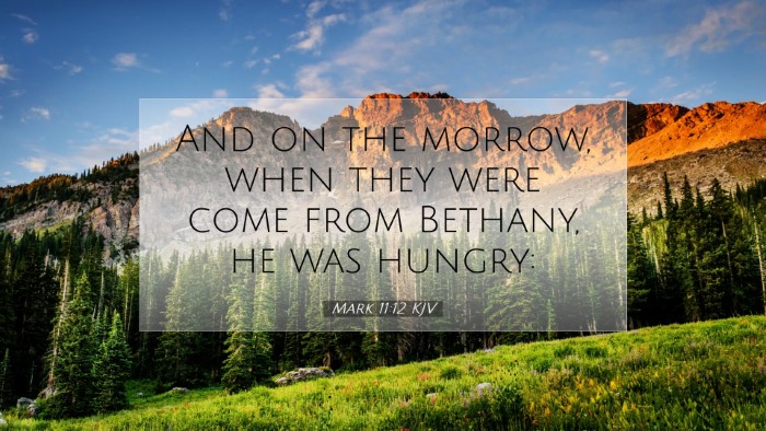 Picture 07 - Mark 11:12 KJV Desktop Wallpaper - And on the morrow, when they were come from - Desktop Bible Verse Wallpaper