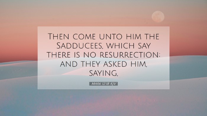 Picture 07 - Mark 12:18 KJV Desktop Wallpaper - Then come unto him the Sadducees, which say there - Desktop Bible Verse Wallpaper