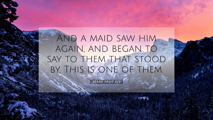 Picture 07 - Mark 14:69 KJV Desktop Wallpaper - And a maid saw him again, and began to say to - Desktop Bible Verse Wallpaper