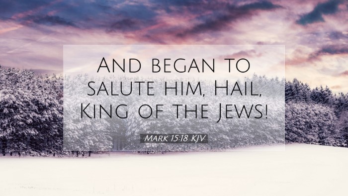 Picture 07 - Mark 15:18 KJV Desktop Wallpaper - And began to salute him, Hail, King of the - Desktop Bible Verse Wallpaper