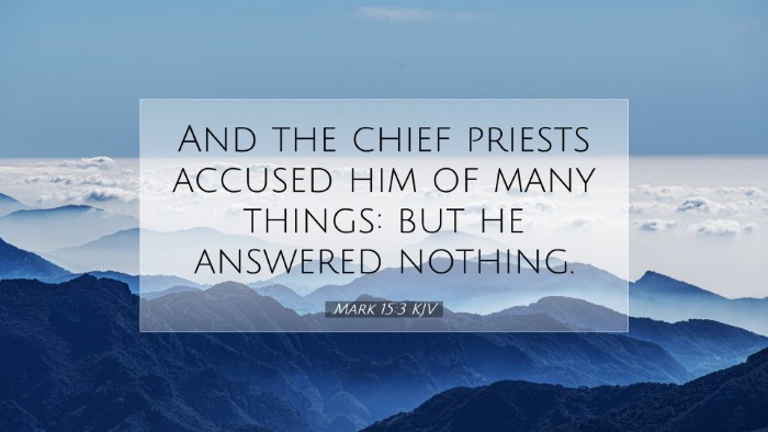 Picture 07 - Mark 15:3 KJV Desktop Wallpaper - And the chief priests accused him of many things: - Desktop Bible Verse Wallpaper