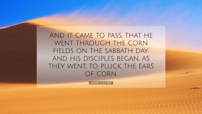 Picture 07 - Mark 2:23 KJV Desktop Wallpaper - And it came to pass, that he went through the - Desktop Bible Verse Wallpaper