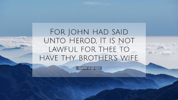 Picture 07 - Mark 6:18 KJV Desktop Wallpaper - For John had said unto Herod, It is not lawful - Desktop Bible Verse Wallpaper