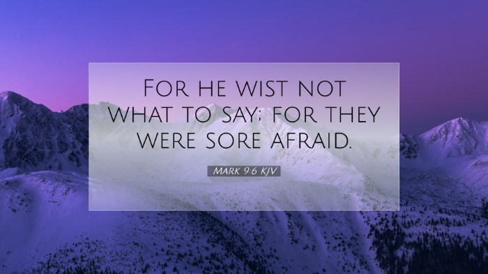 Picture 07 - Mark 9:6 KJV Desktop Wallpaper - For he wist not what to say; for they were sore - Desktop Bible Verse Wallpaper