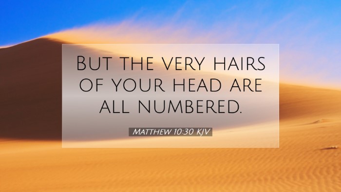 Picture 07 - Matthew 10:30 KJV Desktop Wallpaper - But the very hairs of your head are all - Desktop Bible Verse Wallpaper