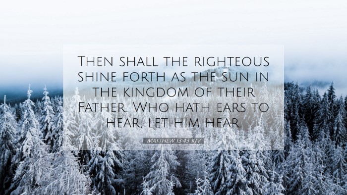 Picture 07 - Matthew 13:43 KJV Desktop Wallpaper - Then shall the righteous shine forth as the sun - Desktop Bible Verse Wallpaper