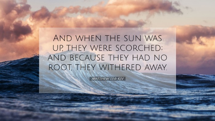 Picture 07 - Matthew 13:6 KJV Desktop Wallpaper - And when the sun was up, they were scorched; and - Desktop Bible Verse Wallpaper