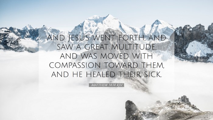 Picture 07 - Matthew 14:14 KJV Desktop Wallpaper - And Jesus went forth, and saw a great multitude, - Desktop Bible Verse Wallpaper