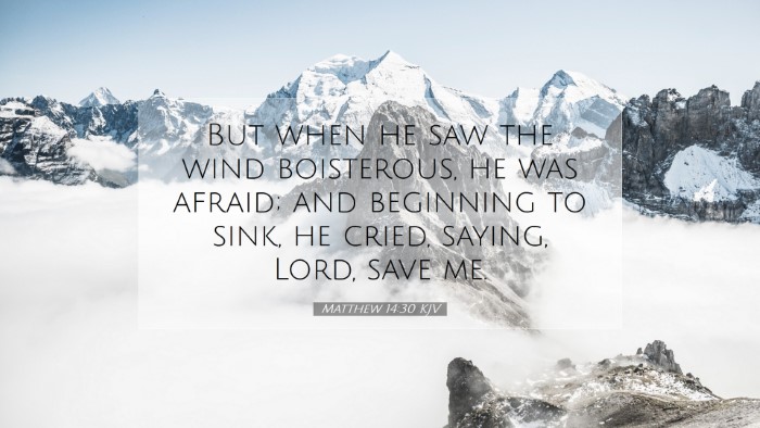Picture 07 - Matthew 14:30 KJV Desktop Wallpaper - But when he saw the wind boisterous, he was - Desktop Bible Verse Wallpaper