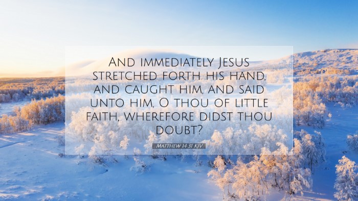 Picture 07 - Matthew 14:31 KJV Desktop Wallpaper - And immediately Jesus stretched forth his hand, - Desktop Bible Verse Wallpaper