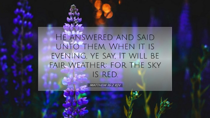 Picture 07 - Matthew 16:2 KJV Desktop Wallpaper - He answered and said unto them, When it is - Desktop Bible Verse Wallpaper