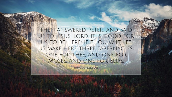 Picture 07 - Matthew 17:4 KJV Desktop Wallpaper - Then answered Peter, and said unto Jesus, Lord, - Desktop Bible Verse Wallpaper