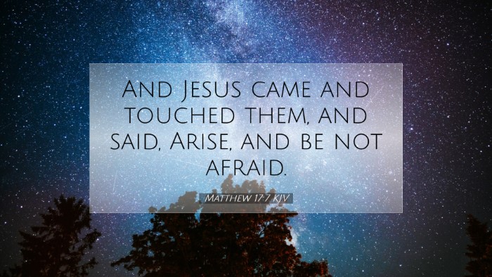 Picture 07 - Matthew 17:7 KJV Desktop Wallpaper - And Jesus came and touched them, and said, Arise, - Desktop Bible Verse Wallpaper