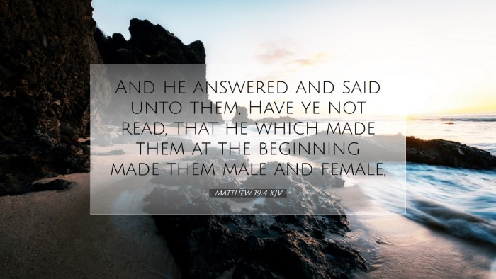 Picture 07 - Matthew 19:4 KJV Desktop Wallpaper - And he answered and said unto them, Have ye not - Desktop Bible Verse Wallpaper