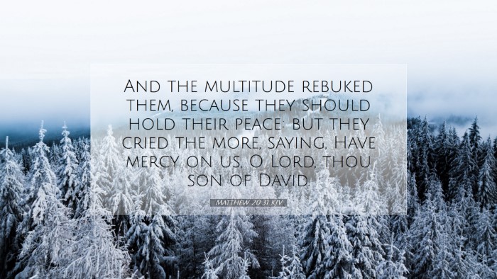 Picture 07 - Matthew 20:31 KJV Desktop Wallpaper - And the multitude rebuked them, because they - Desktop Bible Verse Wallpaper
