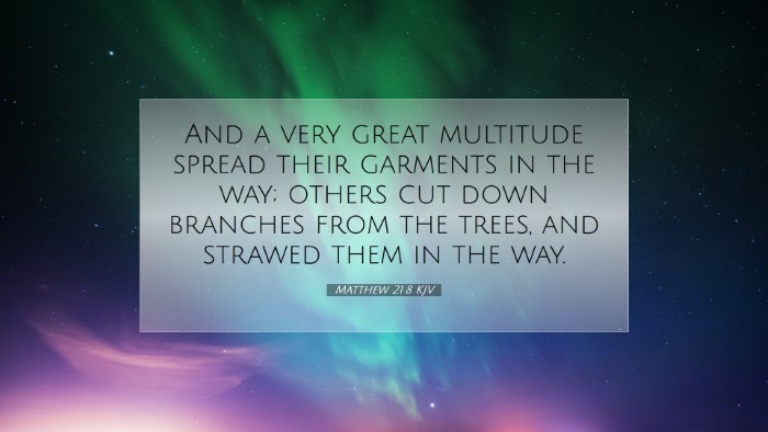 Picture 07 - Matthew 21:8 KJV Desktop Wallpaper - And a very great multitude spread their garments - Desktop Bible Verse Wallpaper