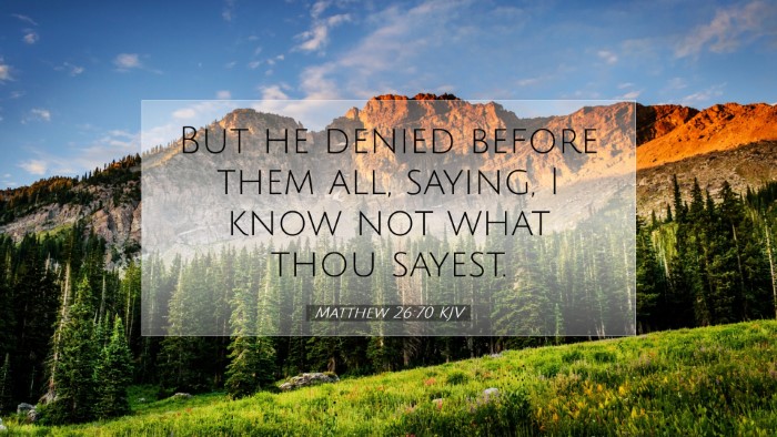 Picture 07 - Matthew 26:70 KJV Desktop Wallpaper - But he denied before them all, saying, I know not - Desktop Bible Verse Wallpaper