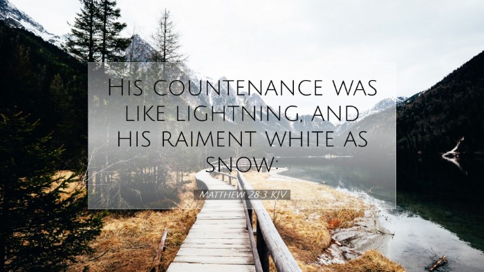 Picture 07 - Matthew 28:3 KJV Desktop Wallpaper - His countenance was like lightning, and his - Desktop Bible Verse Wallpaper